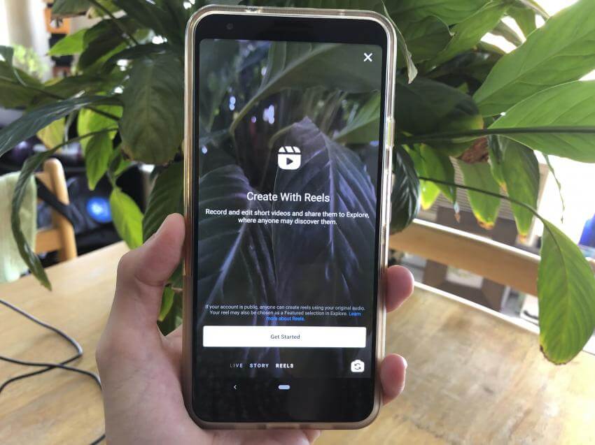 Tampilan menu Instagram Reels ketika pengguna baru akan mencobanya. Tampak ponsel di depan pot tanaman